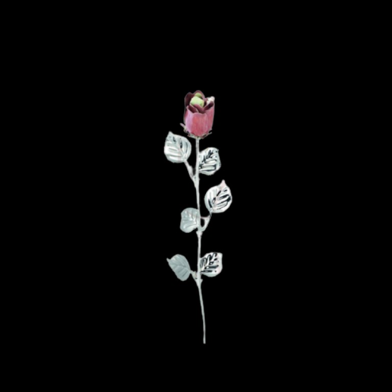 Bibelot Dhome - Rosa Rosa